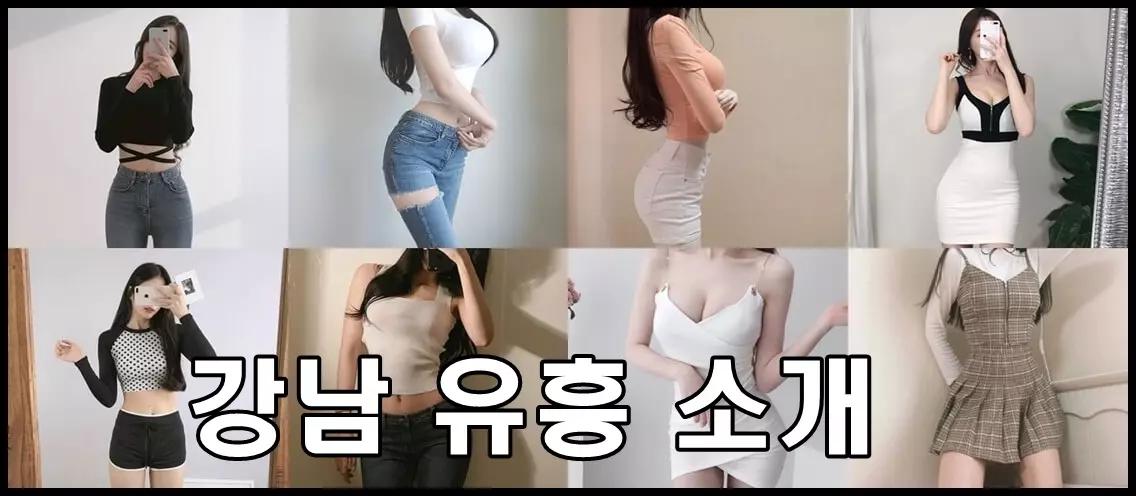 8명의 다양한 여성이 서있고 하단에 강남 유흥 소개라는 문구가 적혀 있음